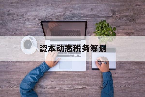 资本动态税务筹划(资本动态税务筹划案例)沈阳市