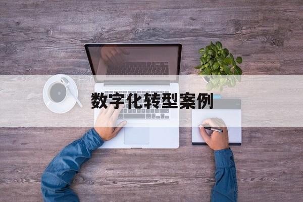 数字化转型案例(数字化转型案例公司)沈阳市