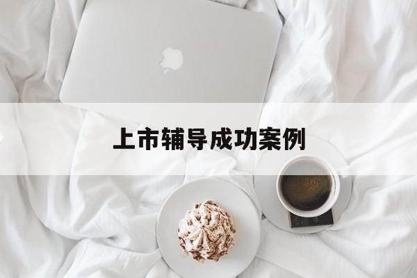 上市辅导成功案例(上市辅导成功后肯定会上市吗)沈阳市